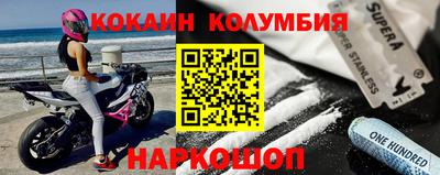 СК Кингисепп