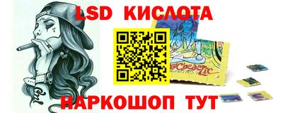 СК Кингисепп