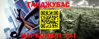 СК Кингисепп