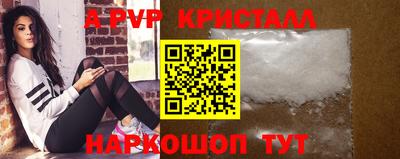 СК Кингисепп
