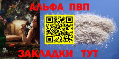 СК Кингисепп