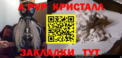 СК Кингисепп