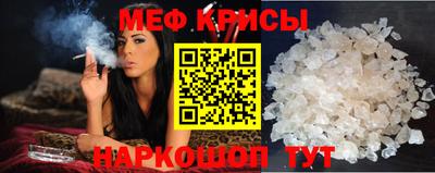 СК Кингисепп